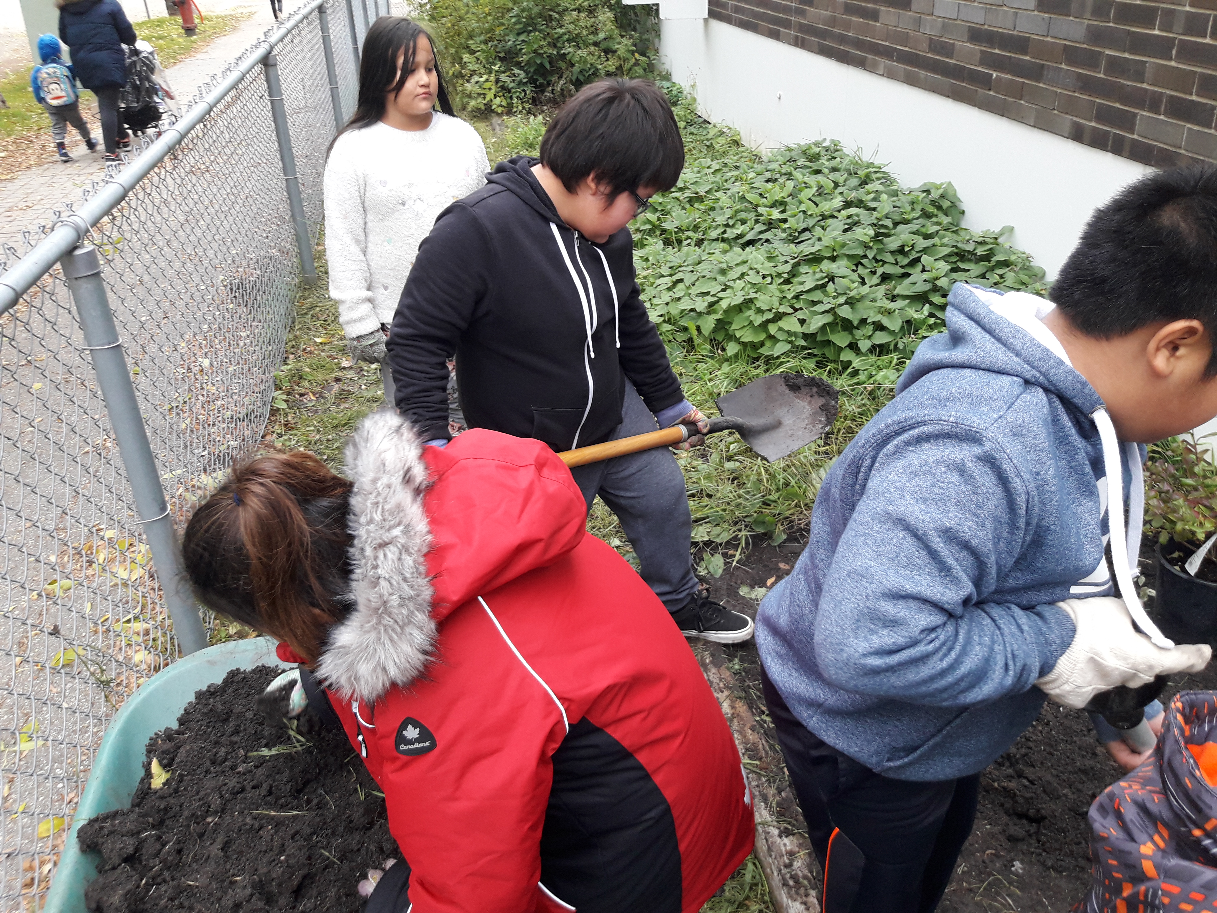 Wellington Tree Project 005.jpg